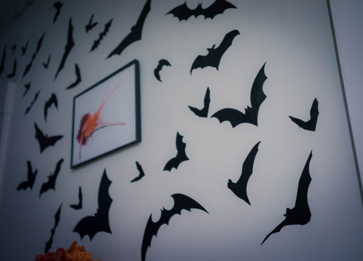 Bats